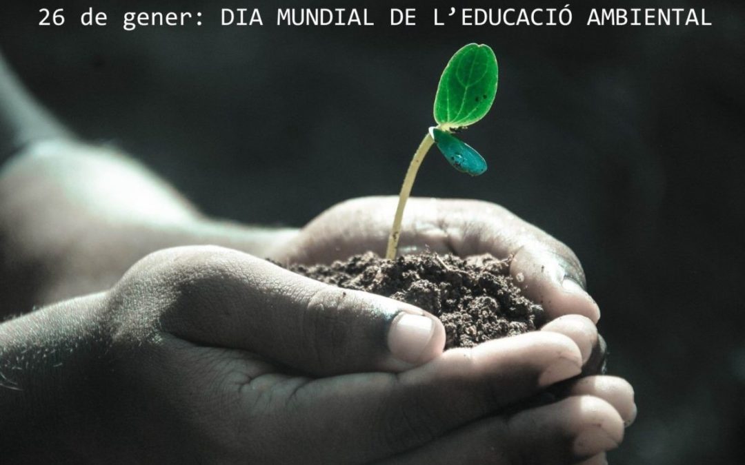 Feliç dia de l’educació ambiental i més…